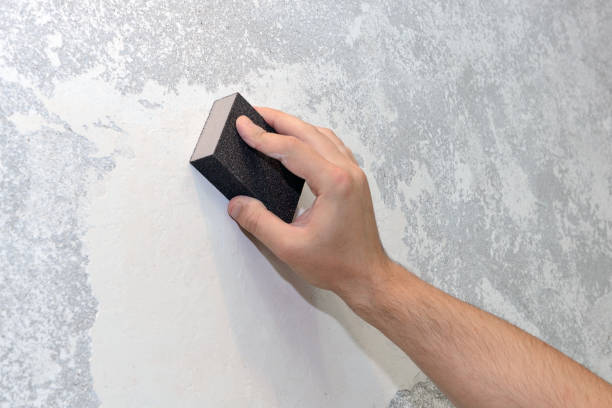 Best Basement Mold Removal  in Arcadia, LA