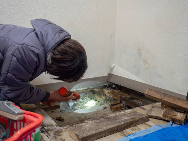 Best Residential Mold Inspection & Testing  in Arcadia, LA