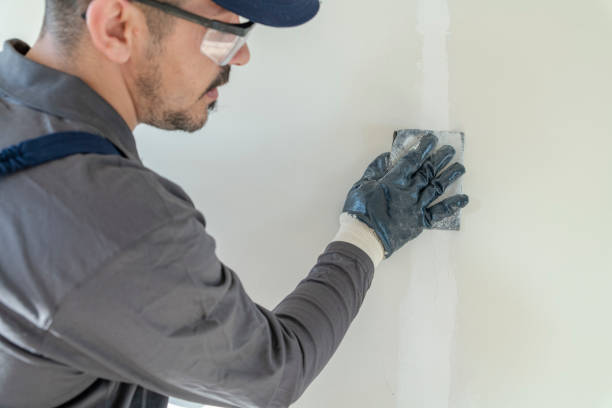 Arcadia, LA Mold Removal Company
