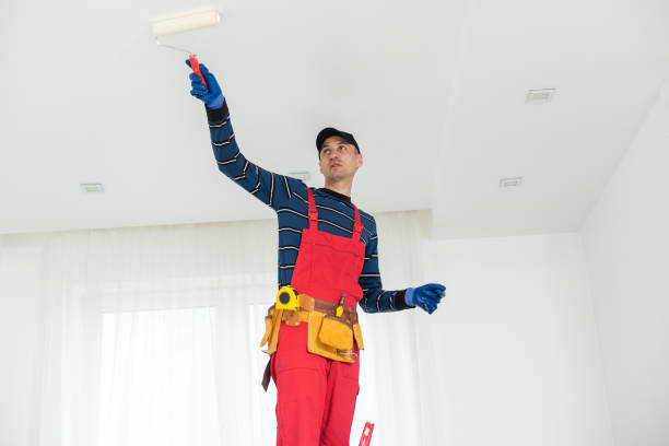 Best Post-Construction Mold Inspection  in Arcadia, LA