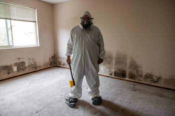 Best Mold Removal for HVAC Installations  in Arcadia, LA